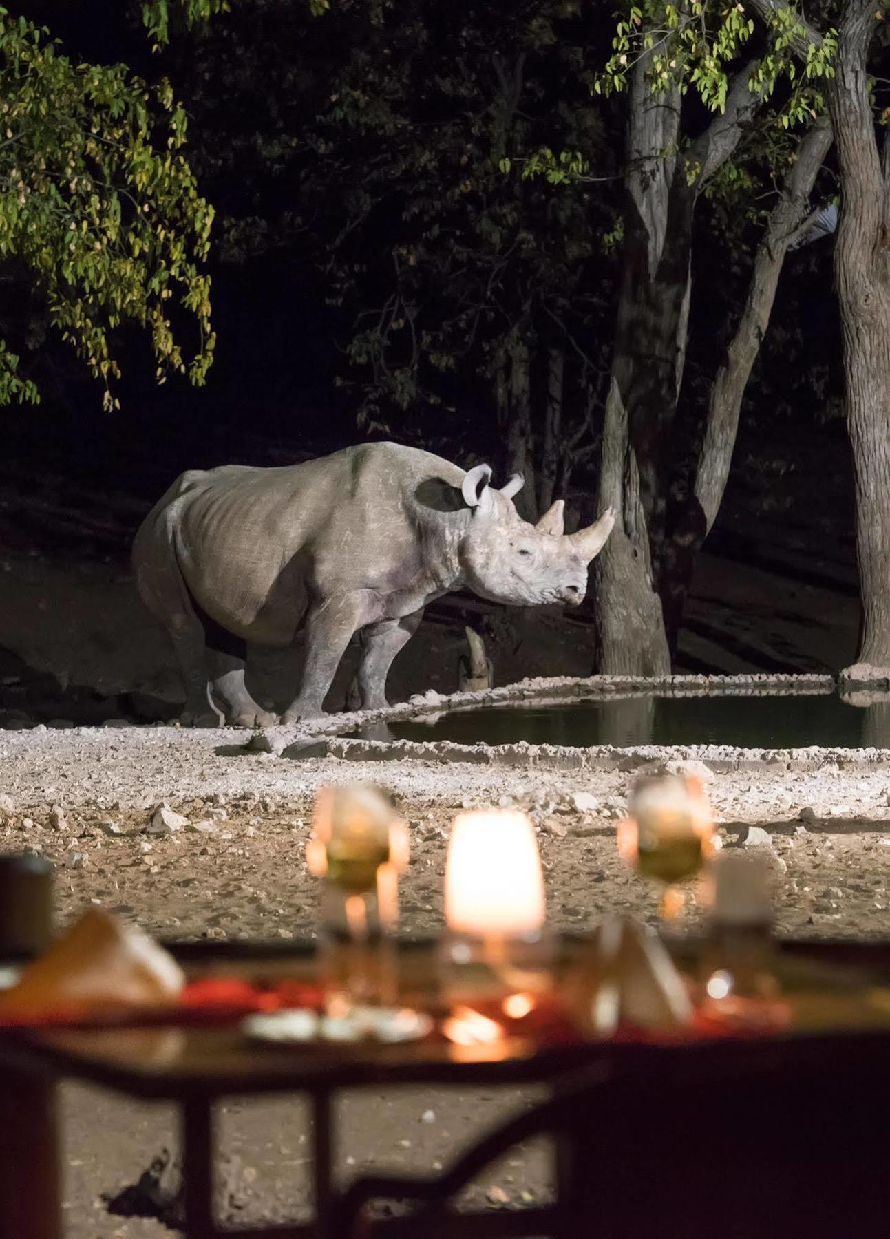 Ongava Tented Camp - All-Inclusive Okaukuejo Εξωτερικό φωτογραφία